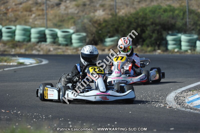 DSC (1241).JPG